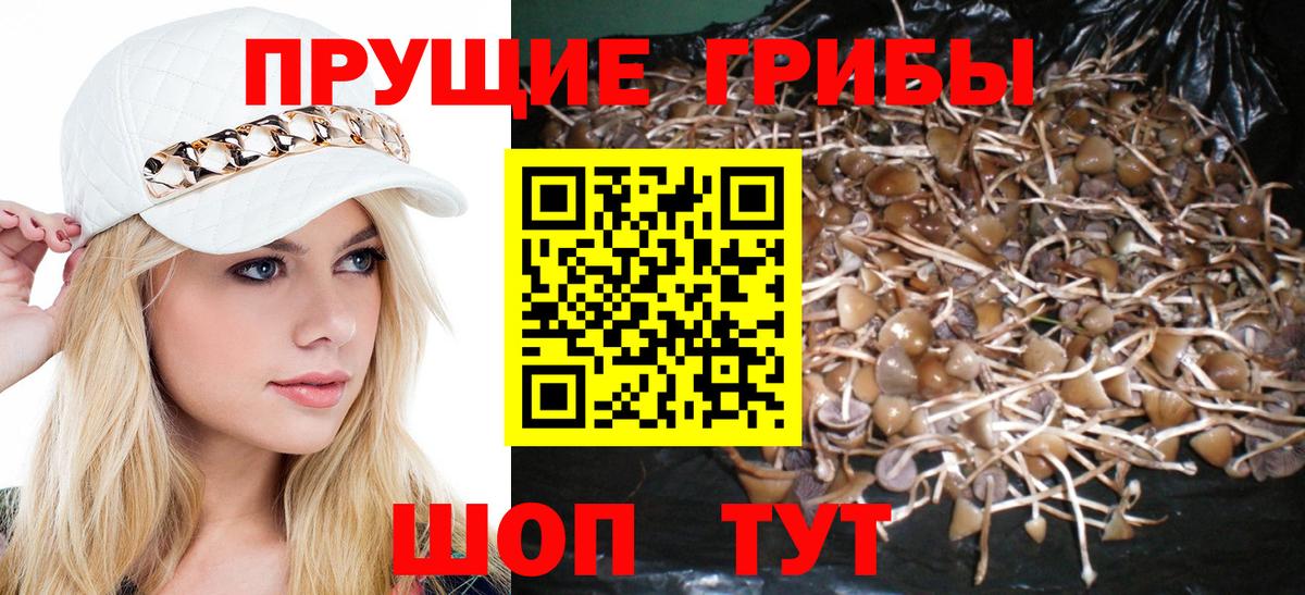 Галлюциногенные грибы Psilocybine cubensis Нижний Тагил