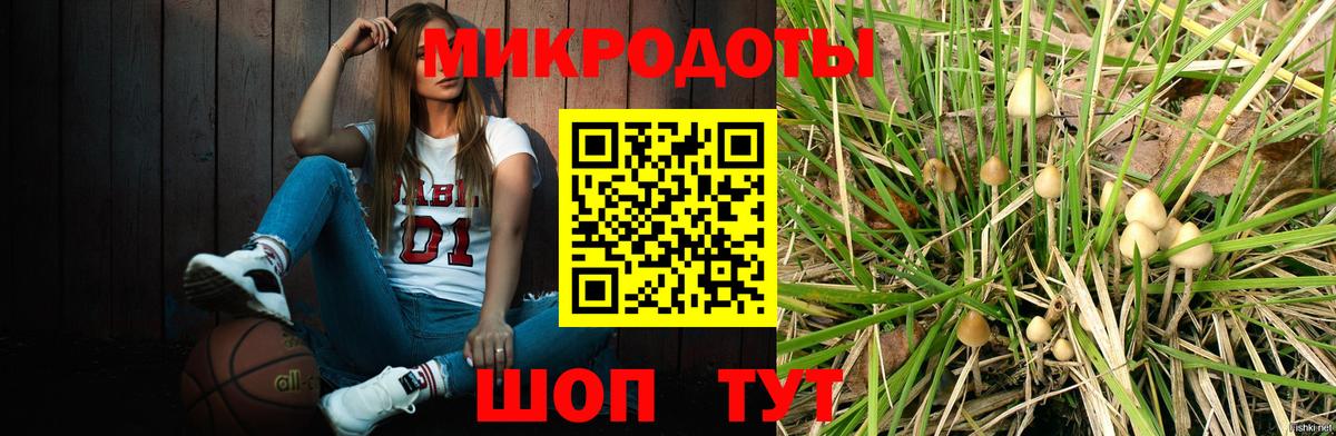 как найти закладки  Вход с VPN  Нижний Тагил  Галлюциногенные грибы ЛСД  Галлюциногенные грибы мухоморы 